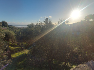 Villa LA PANORAMICA a Massarosa Villa LA PANORAMICA a Massarosa