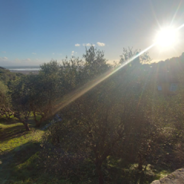 Villa LA PANORAMICA a Massarosa